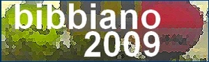 Bibbiano2009 - 22 Campionato Italiano di Volo in Mongolfiera